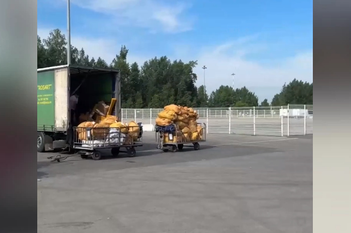 V odnom iz terminalov aeroporta kolcovo obrazovalis mnogochasovye ocheredi 3ac5259.jpg
