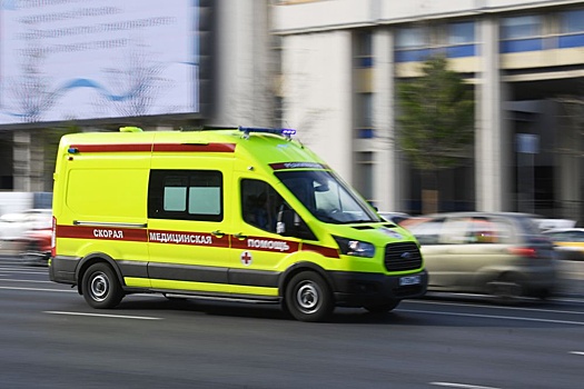 Rebenka postradavshego ot neadekvata v sheremetevo vypisali iz bolnicy 961d97e.jpg