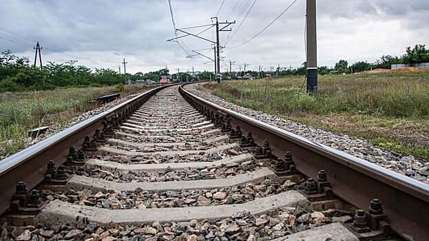 Rzhd dumajut postavit sapsany na minsk nizhnij novgorod i voronezh 5f1e437.jpg