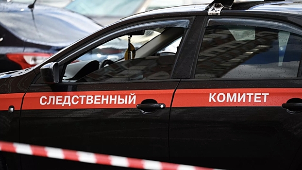 Sk soobshhil o roste chisla sovershennyh migrantami prestuplenij 551eb62.jpg